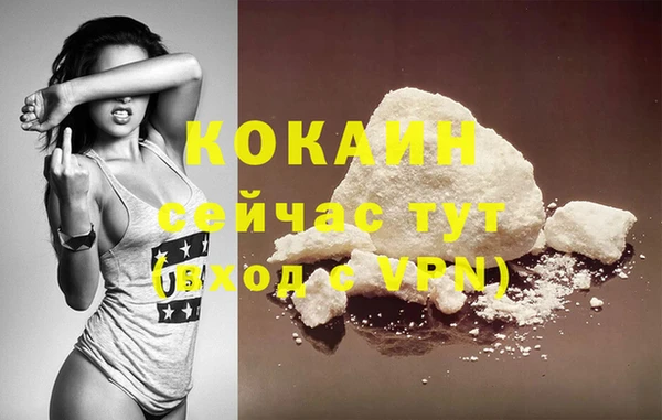 спайс Алексин