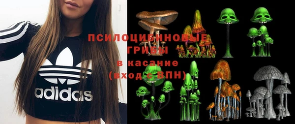 спайс Алексин